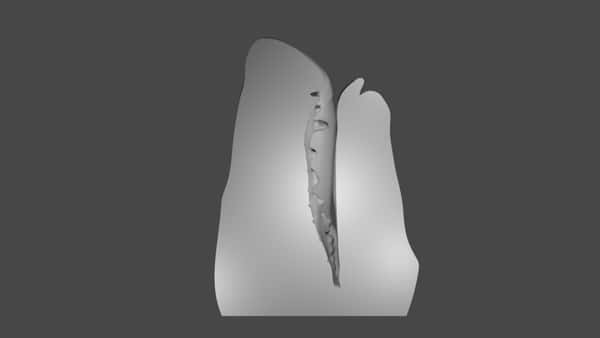 The Muzzle – Silicone Canine head masturbator