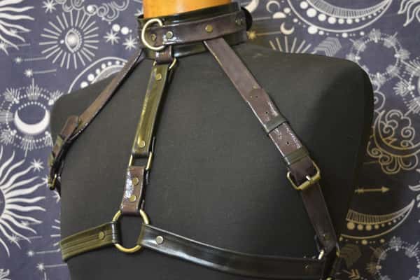 Cowhide leather harness attached to a leather collar with stainless steel rings and a leash. HANDMADE