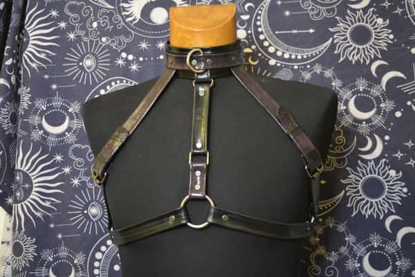 Cowhide leather harness attached to a leather collar with stainless steel rings and a leash. HANDMADE