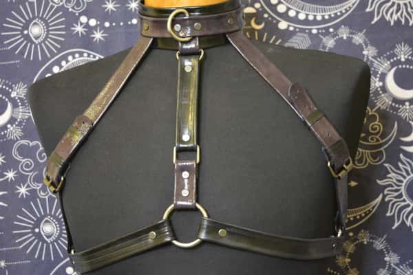 Cowhide leather harness attached to a leather collar with stainless steel rings and a leash. HANDMADE