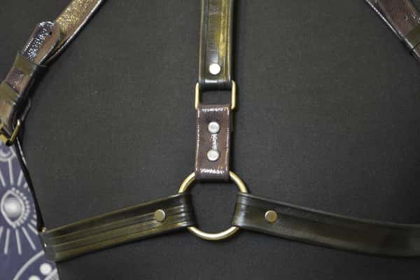 Cowhide leather harness attached to a leather collar with stainless steel rings and a leash. HANDMADE