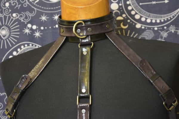 Cowhide leather harness attached to a leather collar with stainless steel rings and a leash. HANDMADE