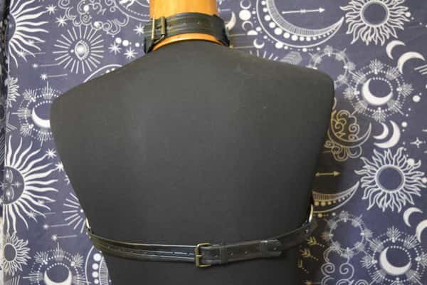 Cowhide leather harness attached to a leather collar with stainless steel rings and a leash. HANDMADE