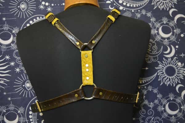Handmade Leather Harness - Unique Creation.