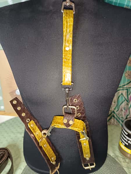 Complet Bdsm Kit, Full Leather, Handmade.